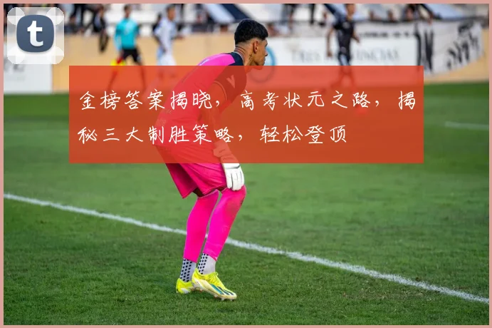 金榜答案揭晓，高考状元之路，揭秘三大制胜策略，轻松登顶