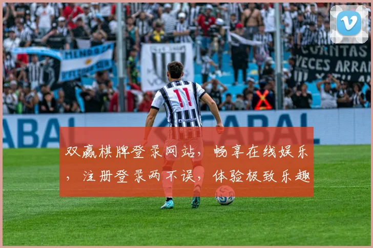 双赢棋牌登录网站，畅享在线娱乐，注册登录两不误，体验极致乐趣