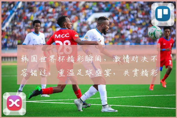 韩国世界杯精彩瞬间，激情对决不容错过，重温足球盛宴，共赏精彩瞬间，一触即发