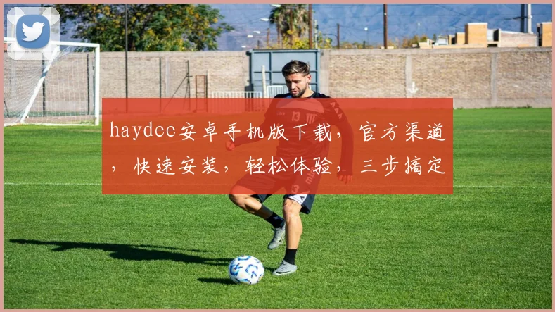 haydee安卓手机版下载，官方渠道，快速安装，轻松体验，三步搞定