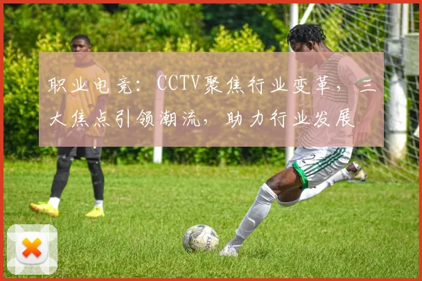 职业电竞：CCTV聚焦行业变革，三大焦点引领潮流，助力行业发展